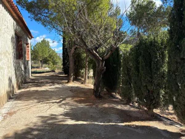 Casa independiente en Urbanizacion el Aljibe, 25