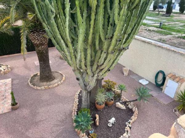 Casa independiente en calle Sagitario