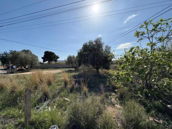 Casa independiente en camino del Fondo