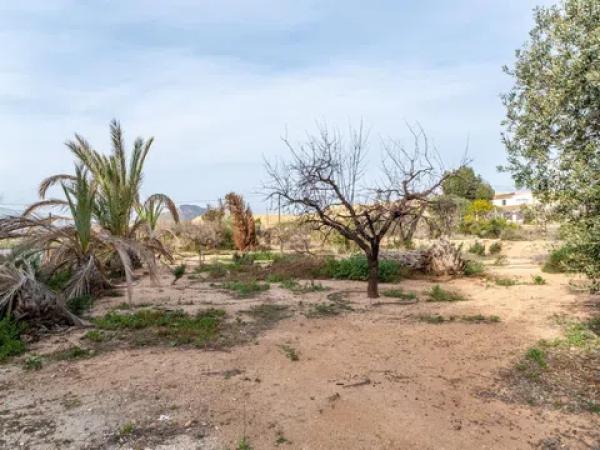 Casa independiente en Cv-820