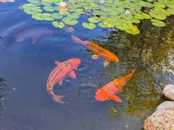 Casa independiente en camino de Sant Miquel