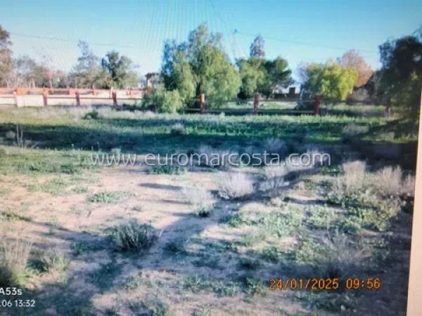 Casa independiente en calle Joaquin Sorolla