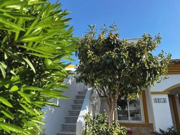 Chalet en avenida del Boticari, 11