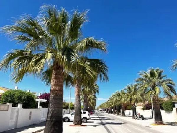 Chalet en avenida del Boticari, 11