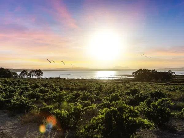 Chalet adosado en calle Río Danubio, 312