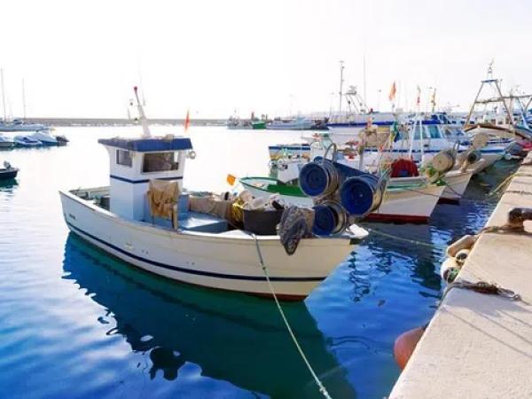 Chalet en calle Lirios