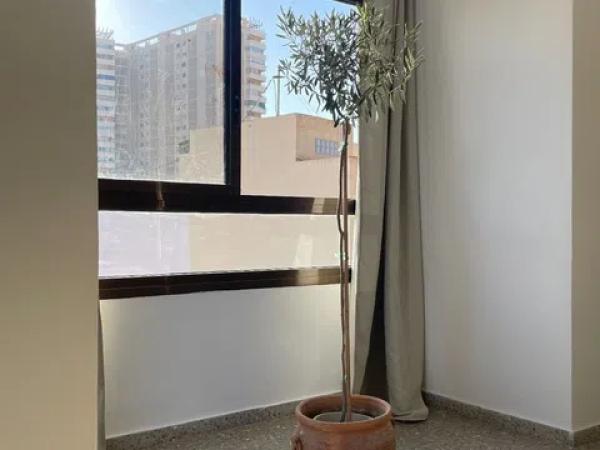 Piso en calle Taquigrafo Martí