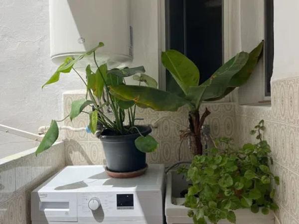 Piso en calle Taquigrafo Martí