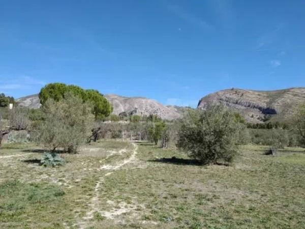 Casa independiente en Partida rodacanters, 26