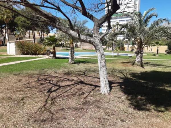 Piso en Playa de Poniente
