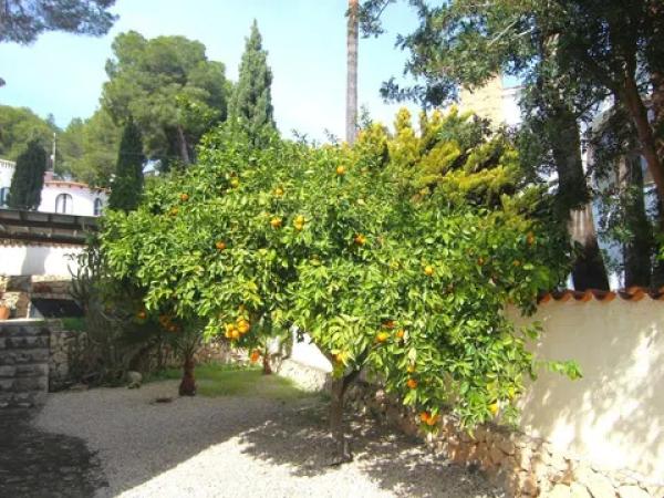 Chalet en Cala Advocat - Baladrar