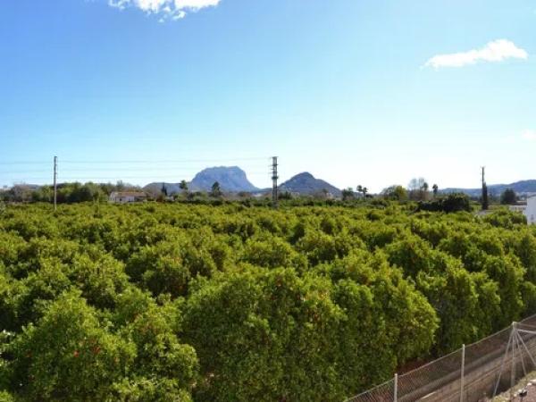 Piso en avenida de Dénia
