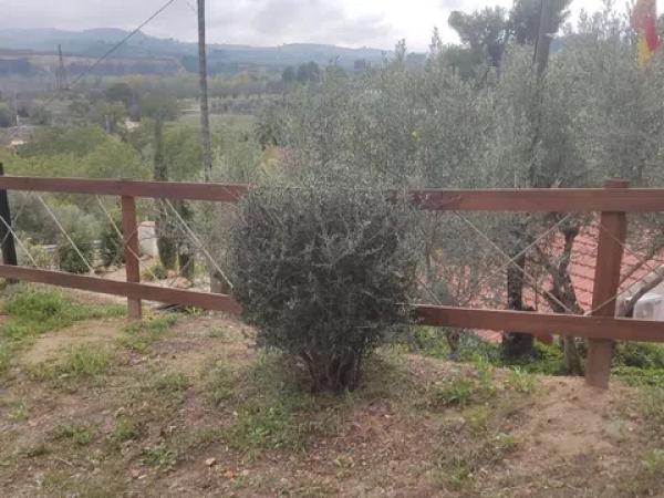 Casa independiente en Partida Pequis, 39