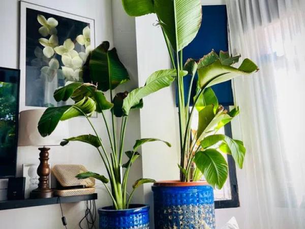 Dúplex en calle Reina Victoria, 65