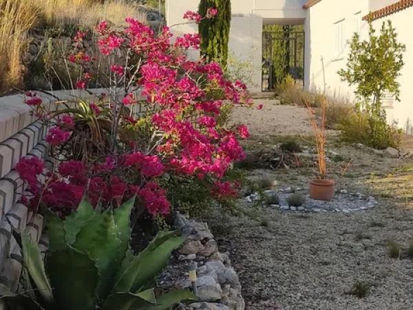 Casa independiente en calle Sant Jaume