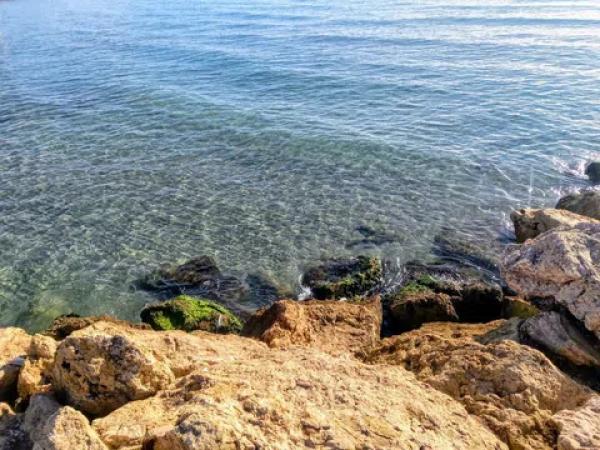 Piso en Calas de Santiago Bernabeu