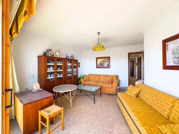 Piso en avenida Virgen del Carmen