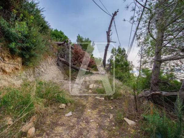 Chalet en La Viña - Montemar - San Jaime