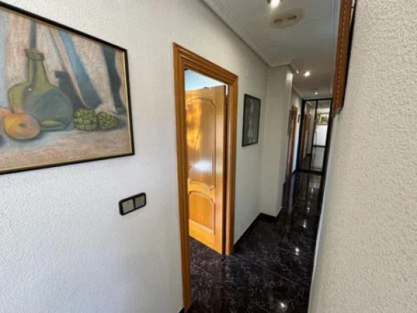 Casa independiente en Partida Salinetes Altes