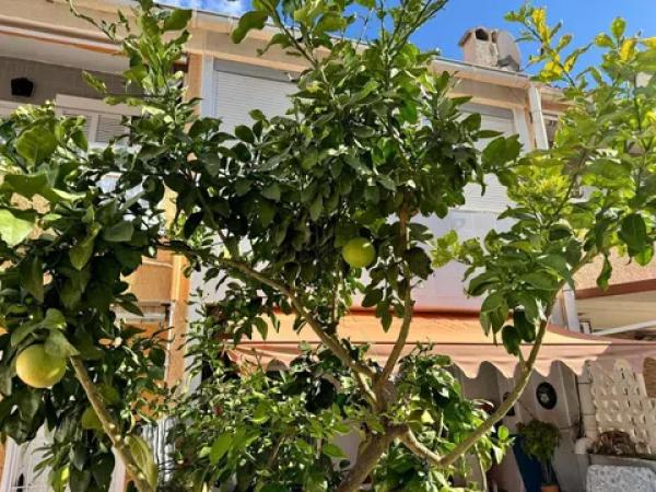 Dúplex en Barrio Miramar - Torre del Moro