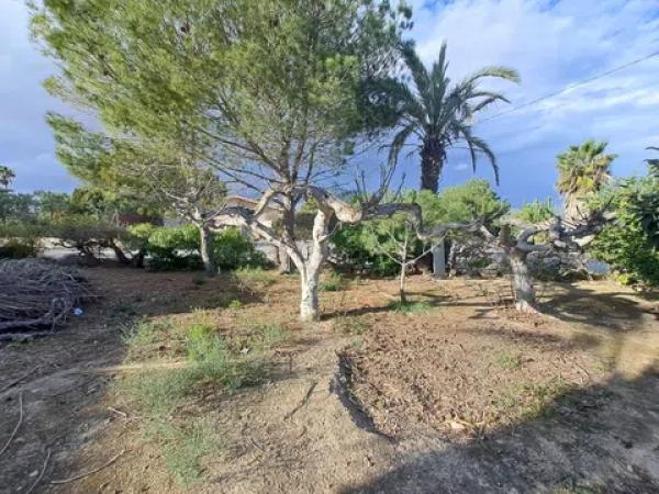 Casa independiente en calle Partida Valverde Bajo