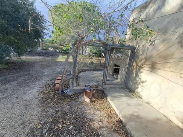 Casa independiente en calle Partida Valverde Bajo