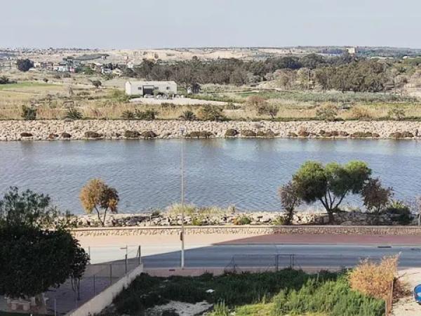 Piso en calle Basilio Paredes