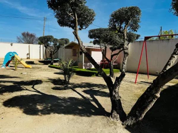 Casa independiente en carretera Elda-Sax, 20