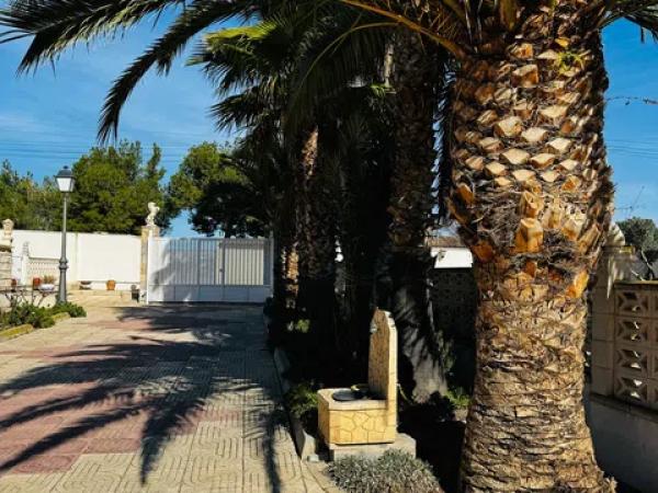 Casa independiente en carretera Elda-Sax, 20