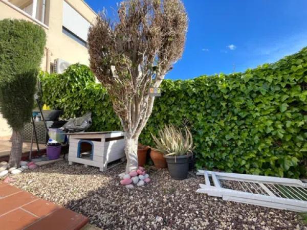 Piso en Colonia Escandinavia-Cautivador