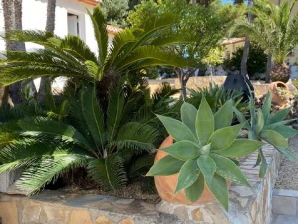 Chalet en Casco Urbano