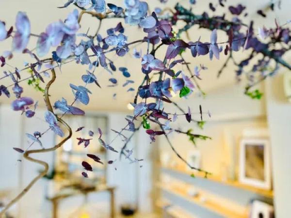 Estudio en calle San Pedro