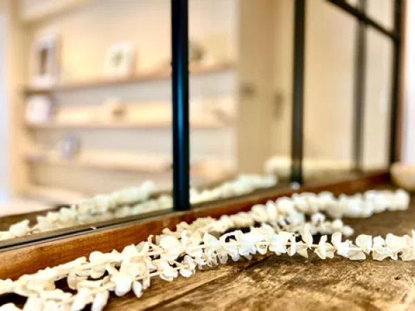 Estudio en calle San Pedro