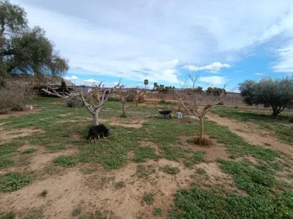 Casa independiente en Partida el Llano