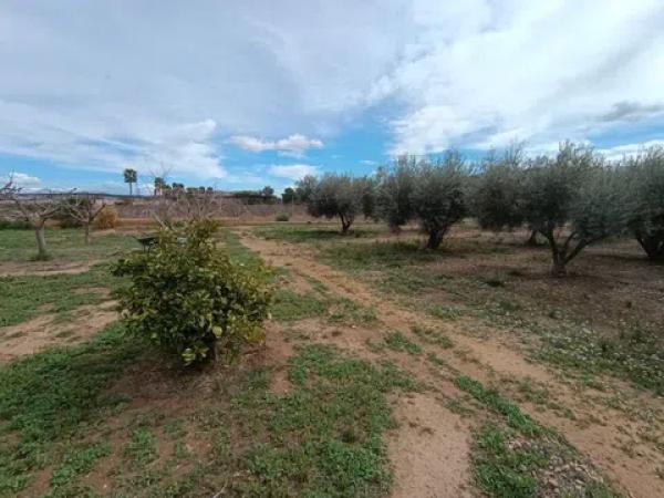 Casa independiente en Partida el Llano
