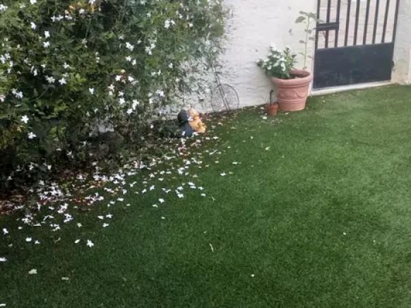 Casa independiente en Paraje Lo Montero