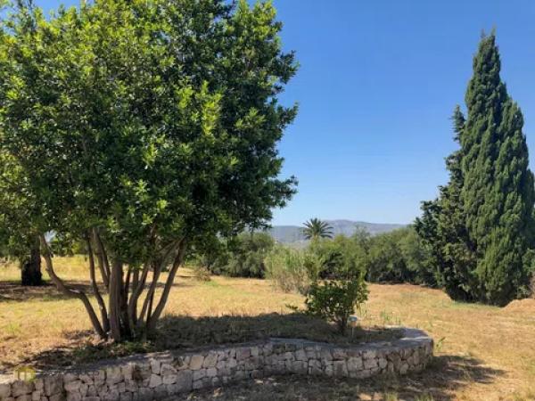 Masía en Partida Tosal - Zona dels Castellans