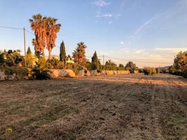 Masía en Partida Tosal - Zona dels Castellans