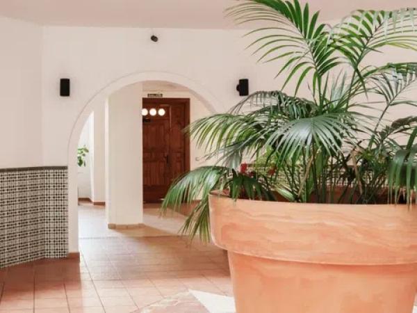 Piso en Barrio Playa de los Locos