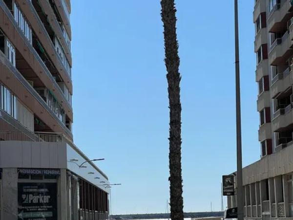 Piso en calle Valencia, 12