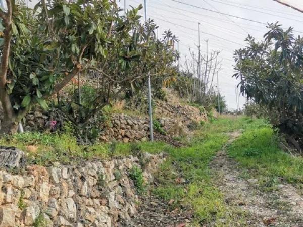 Terreno en Callosa d'En Sarria