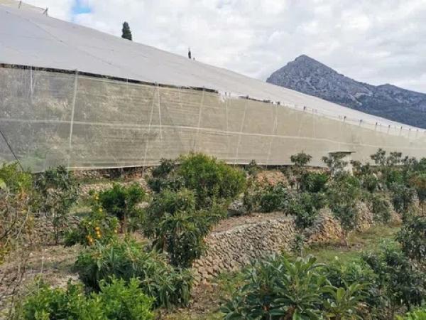 Terreno en Callosa d'En Sarria