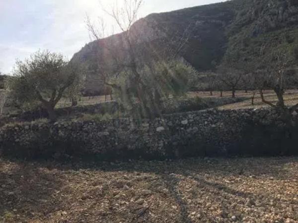 Terreno en Solana Alta