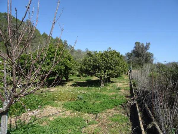 Terreno en Alcalalí