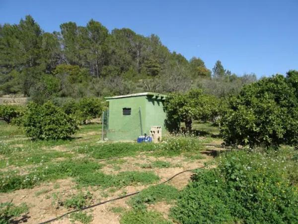 Terreno en Alcalalí