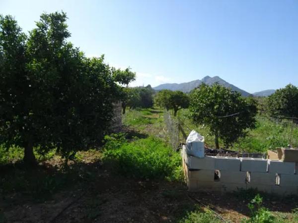 Terreno en Alcalalí