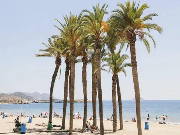 Terreno en El Secanet - Hacienda del Sol