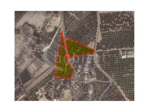 Terreno en Los Montesinos