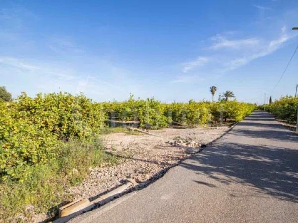 Terreno en Los Montesinos