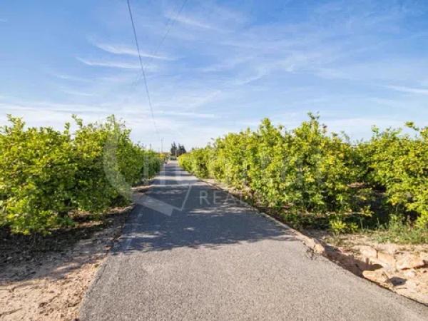 Terreno en Los Montesinos